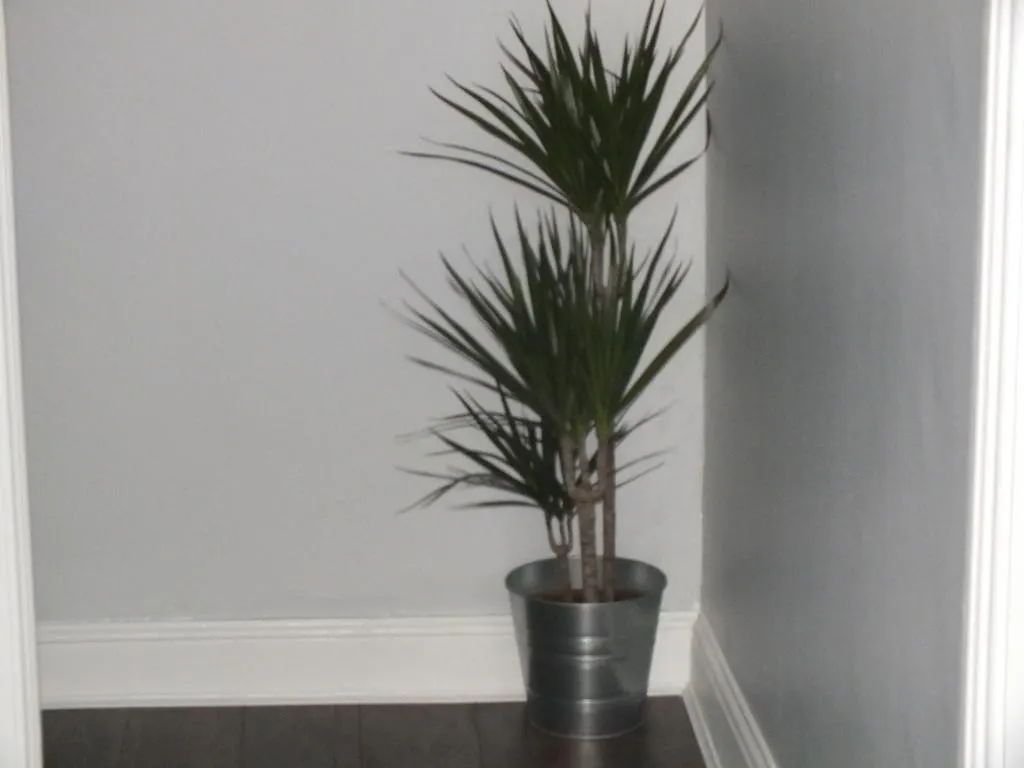 Central Dublin Apartment 0*,  Irland